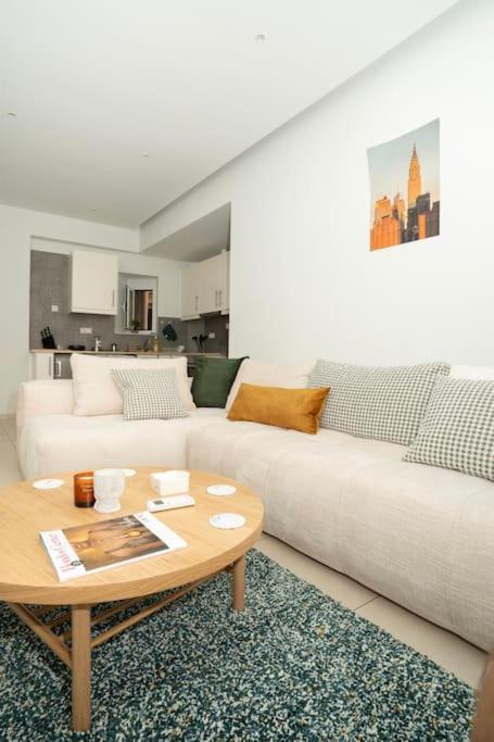 Homey Renovated 1 Bedroom Apartment In Kesariani Athènes Extérieur photo